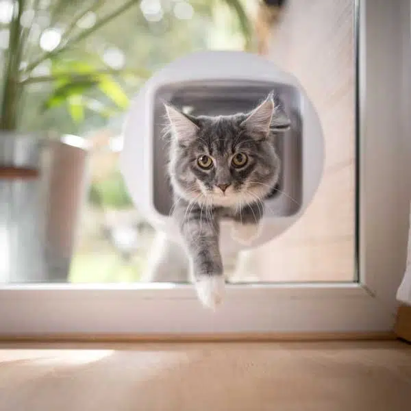 Dog Door for Sliding Glass Door 